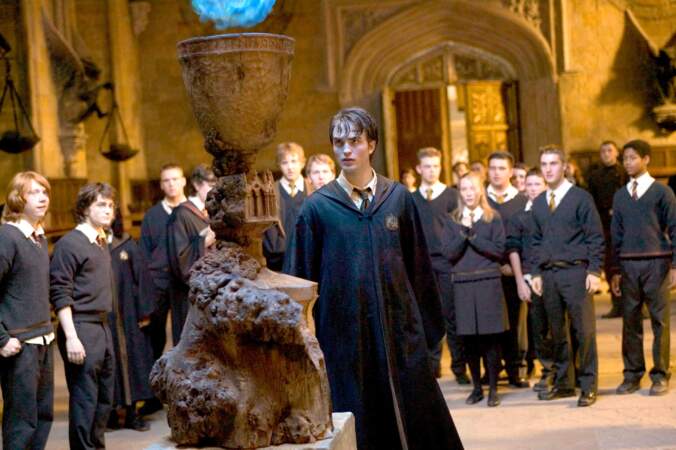 The valiant Cedric Diggory is played by...