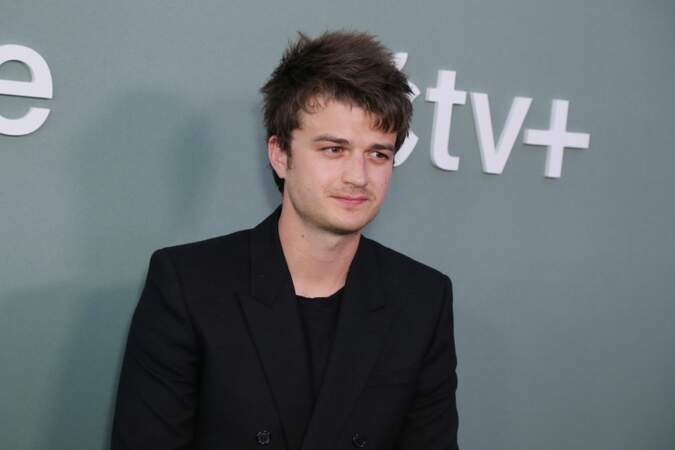 Joe Keery (Steve Harrington)
$150,000 per episode