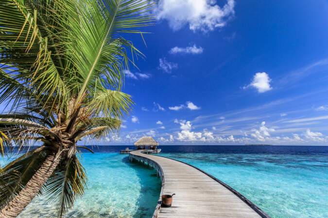 The Maldives 