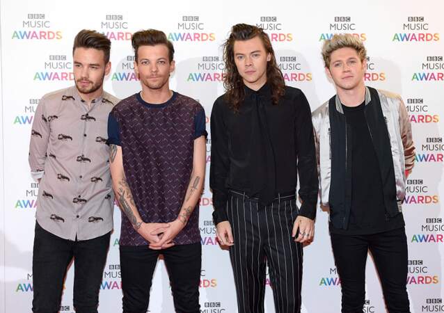 2015: One Direction's extended hiatus
