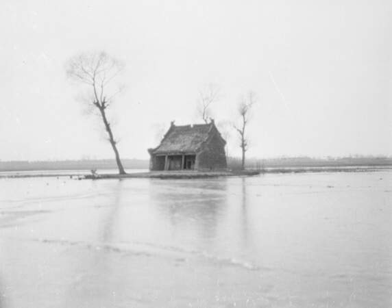 China's Flood Devastation in 1931